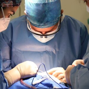 mohs surgery in progress