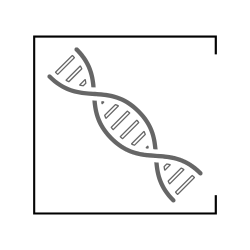 Genetics can cause acne